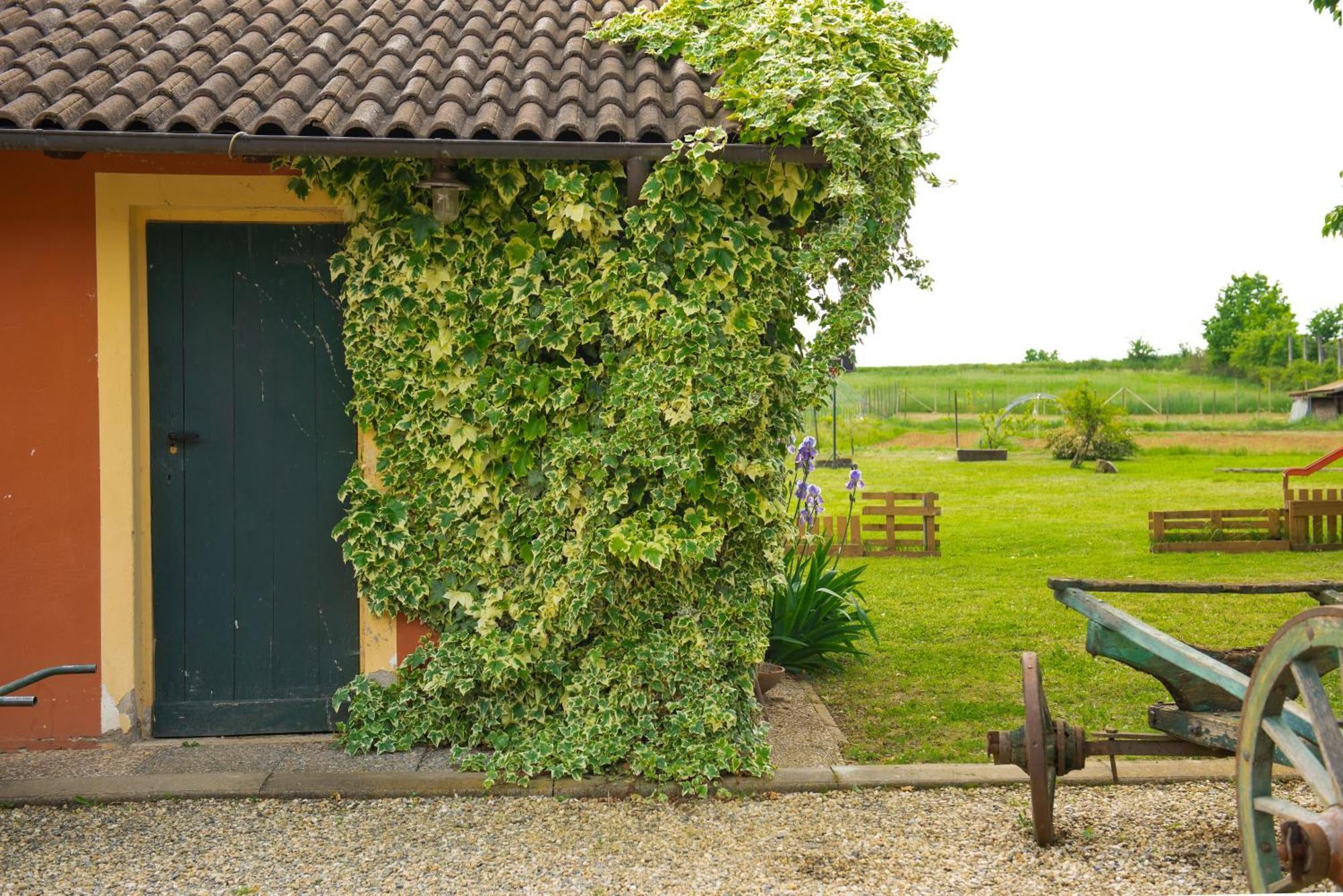 Country House Cascina Orto Pasturana Exterior foto